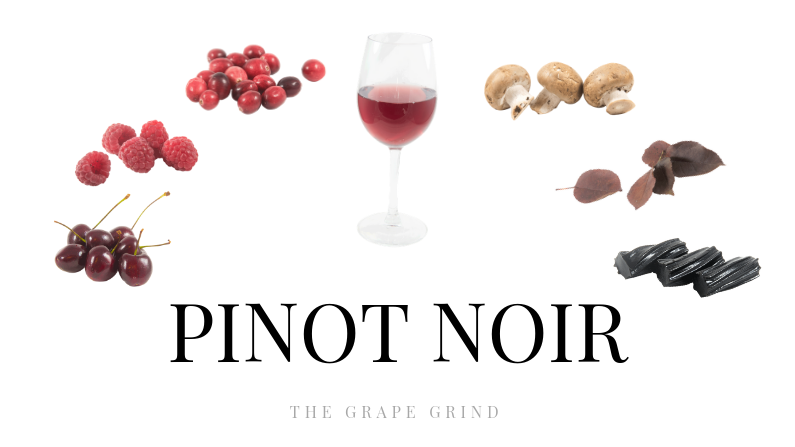 Learn About Pinot Noir