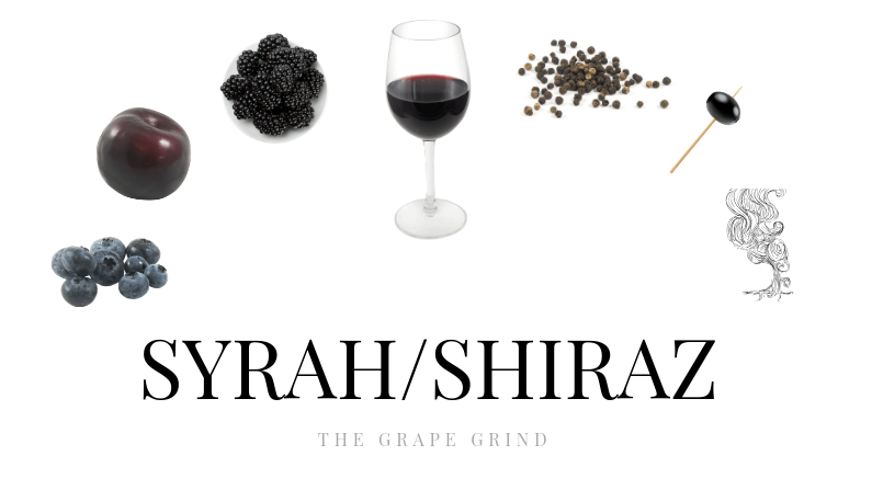 All you need to know about Syrah: A quick guide