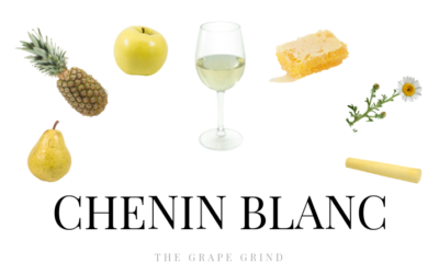 All you need to know about Chenin Blanc: A quick guide