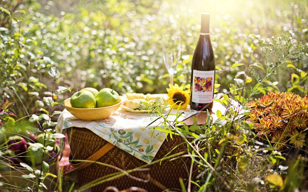 6 of The Best Fall Wines