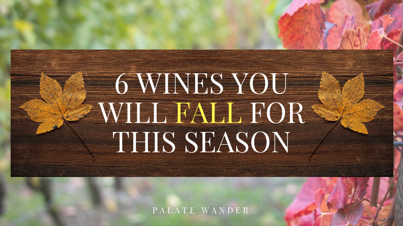 Best Fall Wines