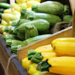 Squash and Wine