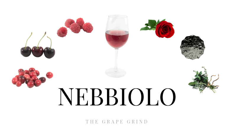All you need to know about Nebbiolo: A quick guide
