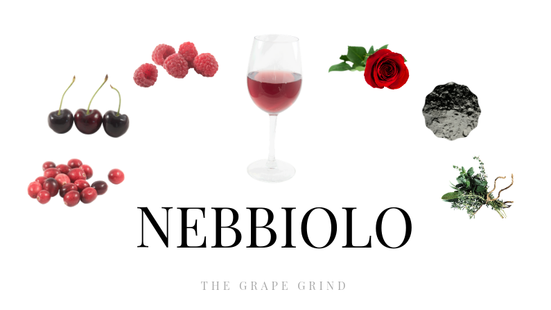 Featured image of post Recipe of Nebbiolo Wine Color