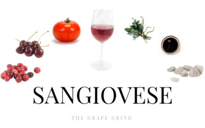 All you need to know about Sangiovese: A quick guide