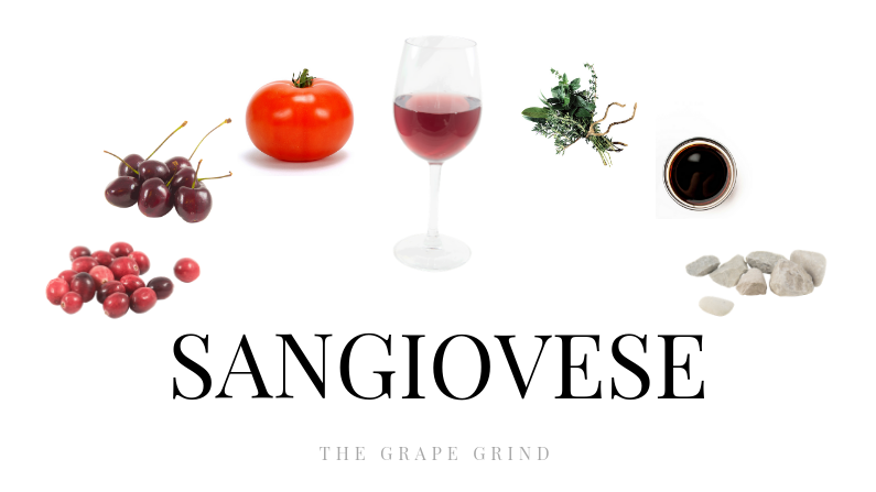 All you need to know about Sangiovese: A quick guide