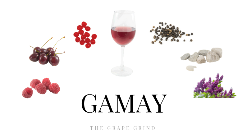 Gamay