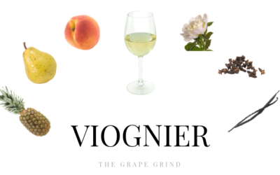 All you need to know about Viognier: A quick guide