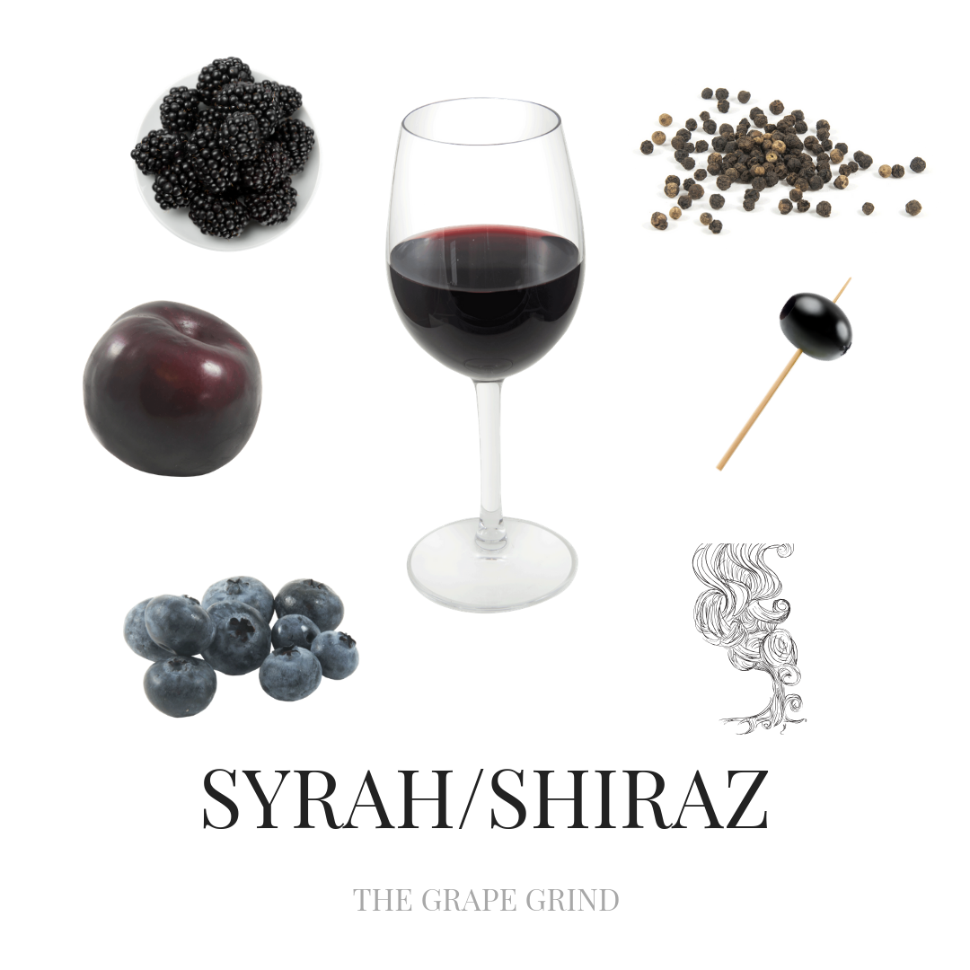 Shiraz