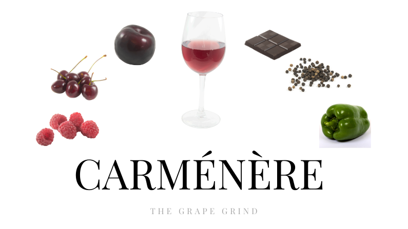 Cabernet Franc