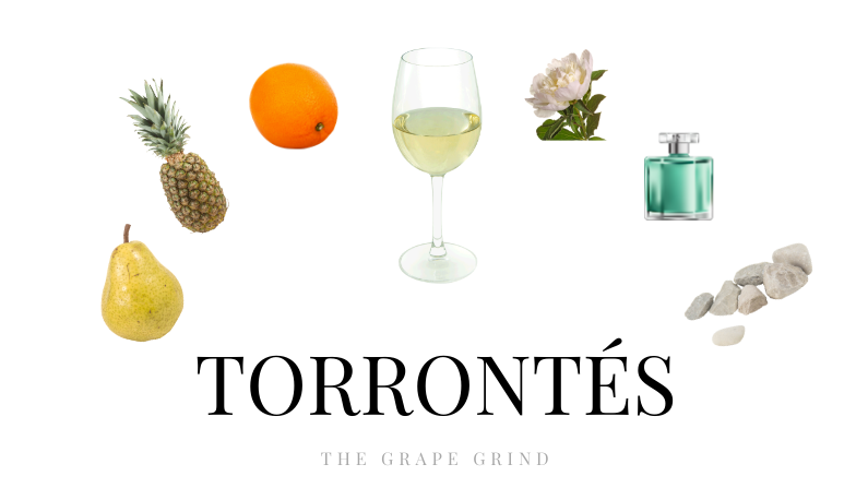 All you need to know about Torrontés: A quick guide