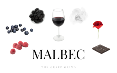 All You Need To Know About Malbec: A Quick Guide