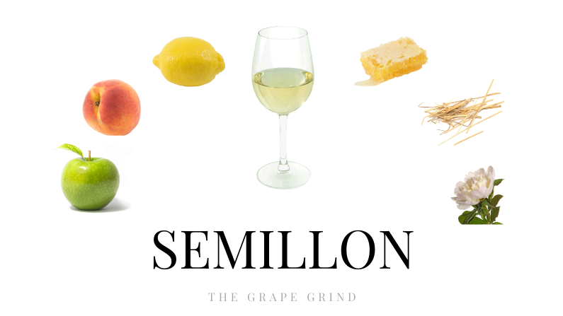 All You Need to Know About Semillon: A Quick Guide