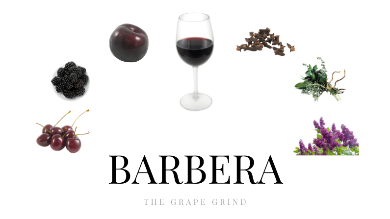 Barbera wine deals