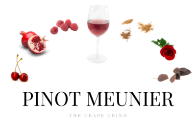 All You Need to Know About Pinot Meunier: A Quick Guide