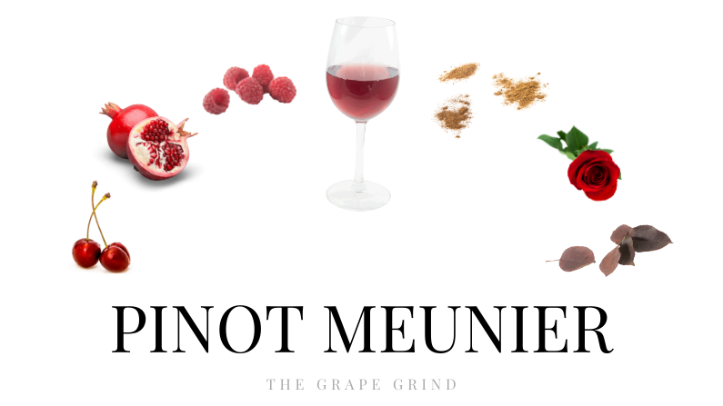 All You Need to Know About Pinot Meunier: A Quick Guide