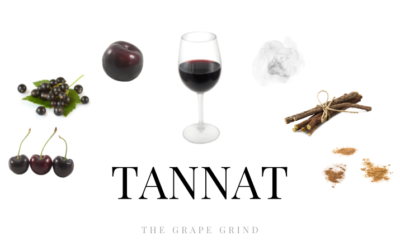 All You Need to Know About Tannat: A Quick Guide