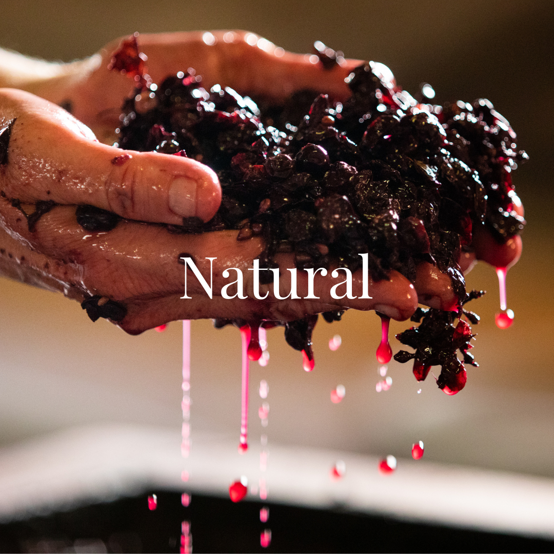 natural wine