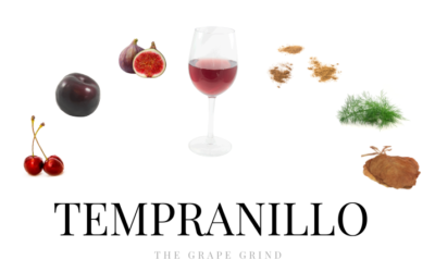 All you need to know about Tempranillo: A quick guide
