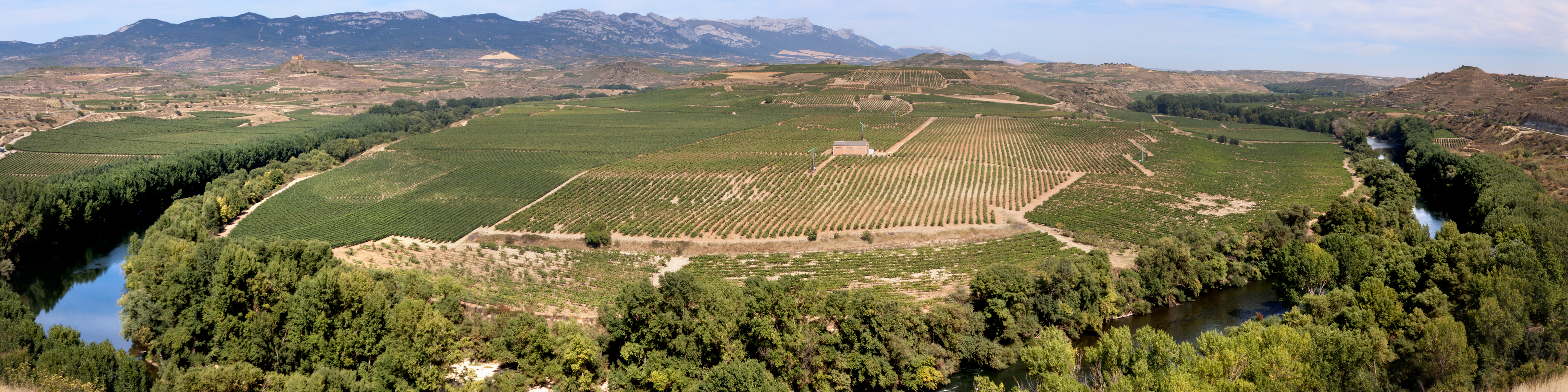 All about Rioja