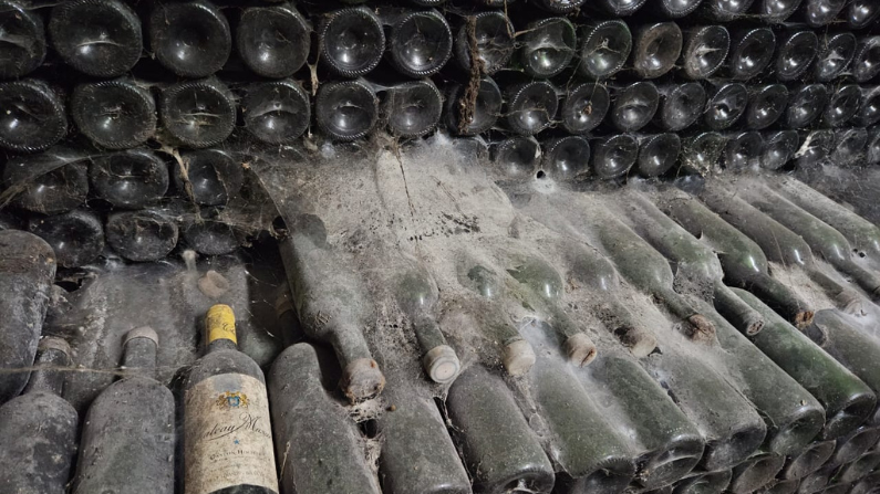 Aging Wine; Which wines age gracefully and what do they evolve into?