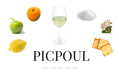 All You Need to Know About Picpoul: A Quick Guide