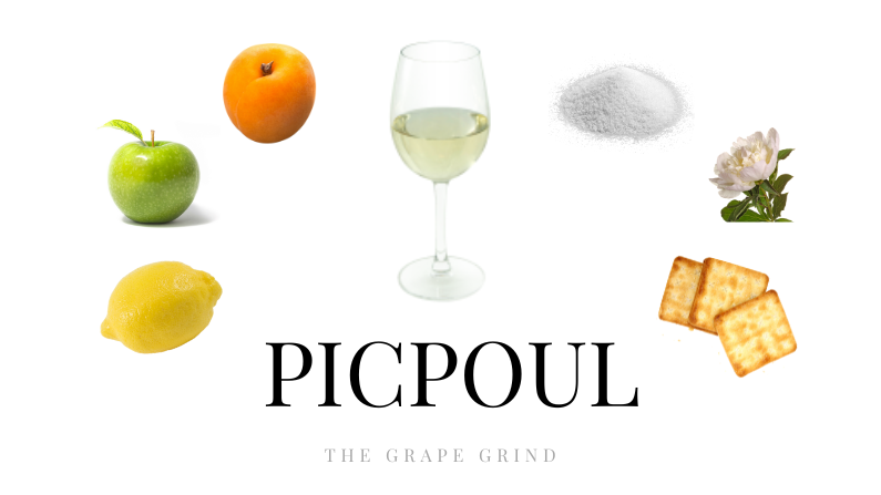 All about Picpoul