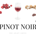 All you need to know about Pinot Noir: A quick guide