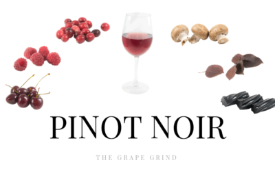 All you need to know about Pinot Noir: A quick guide
