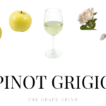 All you need to know about Pinot Grigio: A quick guide