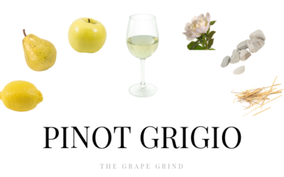 All you need to know about Pinot Grigio: A quick guide