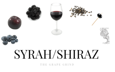 All you need to know about Syrah: A quick guide