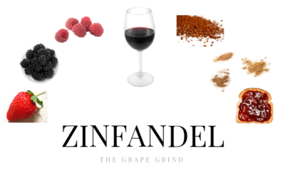 All you need to know about Zinfandel: A quick guide