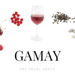 All you need to know about Gamay: A quick guide