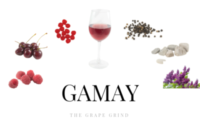 All you need to know about Gamay: A quick guide