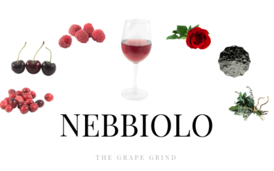 All you need to know about Nebbiolo: A quick guide