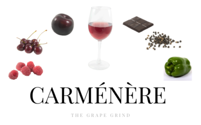 All you need to know about Carménère: A quick guide
