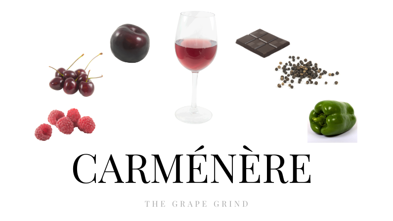 All you need to know about Carménère: A quick guide