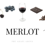 All you need to know about Merlot: A quick guide