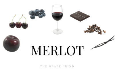 All you need to know about Merlot: A quick guide