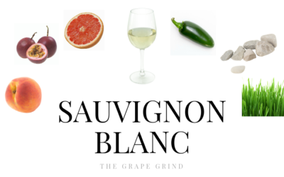 All you need to know about Sauvignon Blanc: A quick guide