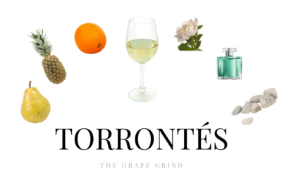 All you need to know about Torrontés: A quick guide