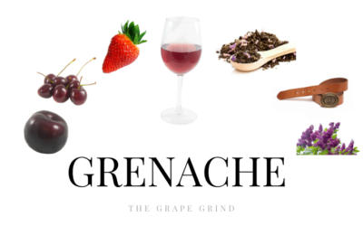 All you need to know about Grenache: A quick guide
