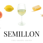 All You Need to Know About Semillon: A Quick Guide