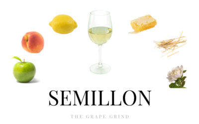 All You Need to Know About Semillon: A Quick Guide