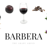 All You Need to Know About Barbera: A Quick Guide