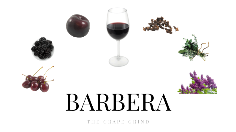 All You Need to Know About Barbera: A Quick Guide