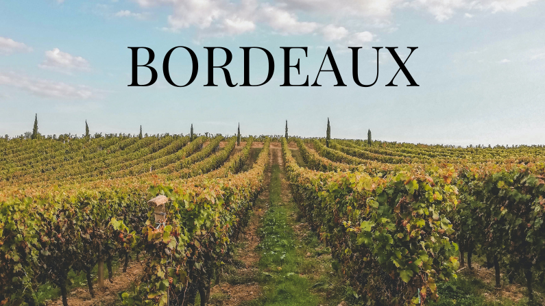 All You Need To Know About Bordeaux: A Regional Guide