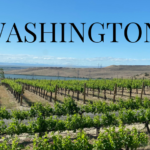 All You Need To Know About Washington Wine Country