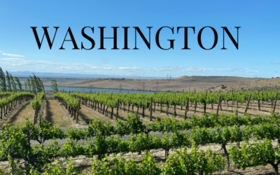 All You Need To Know About Washington Wine Country
